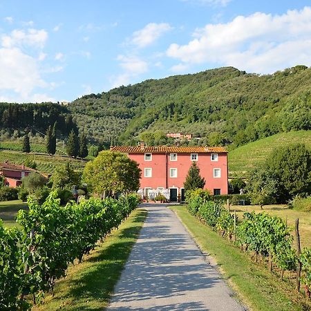 Agriturismo Le Murelle Lucca Bagian luar foto