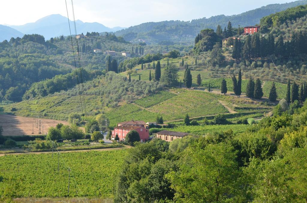 Agriturismo Le Murelle Lucca Bagian luar foto