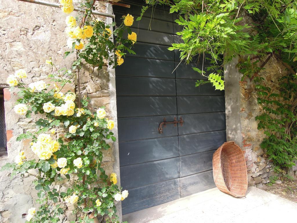 Agriturismo Le Murelle Lucca Bagian luar foto