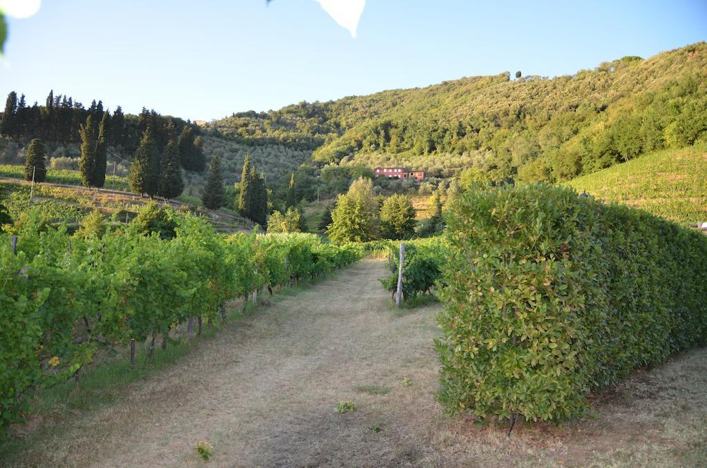 Agriturismo Le Murelle Lucca Bagian luar foto